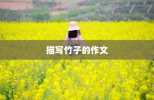 描写竹子的作文