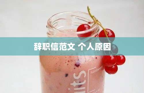 辞职信范文 个人原因