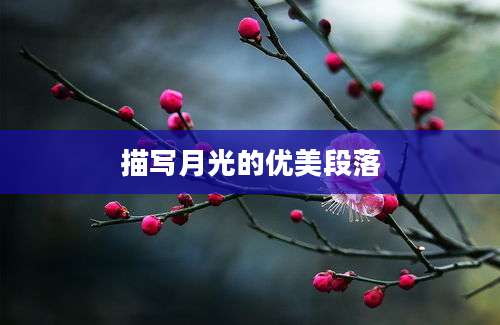 描写月光的优美段落