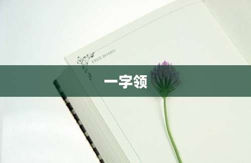 一字领