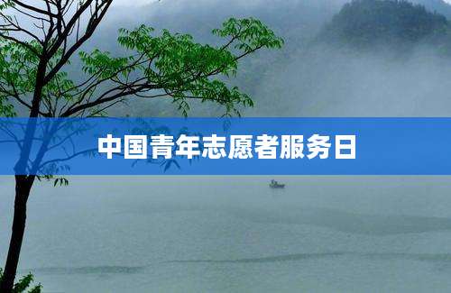 中国青年志愿者服务日