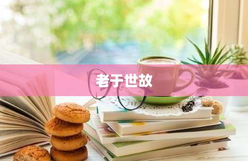 老于世故