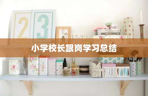 小学校长跟岗学习总结