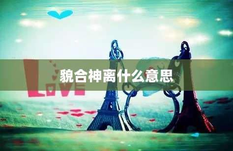 貌合神离什么意思
