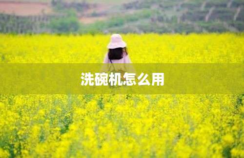 洗碗机怎么用