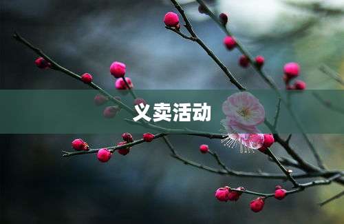 义卖活动