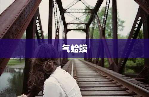 气蛤蟆