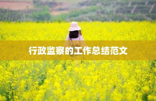 行政监察的工作总结范文