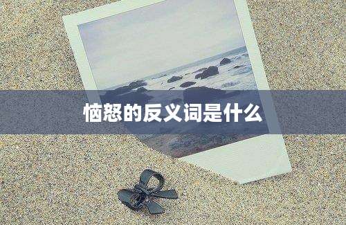 恼怒的反义词是什么