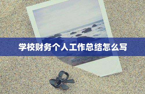 学校财务个人工作总结怎么写