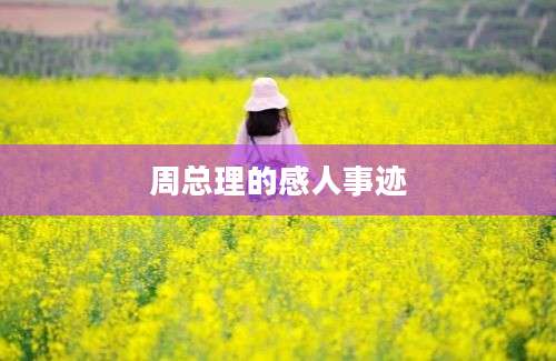 周总理的感人事迹