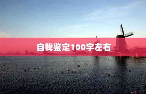 自我鉴定100字左右