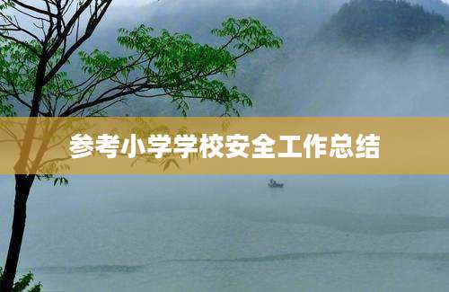参考小学学校安全工作总结
