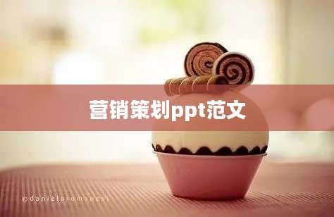 营销策划ppt范文