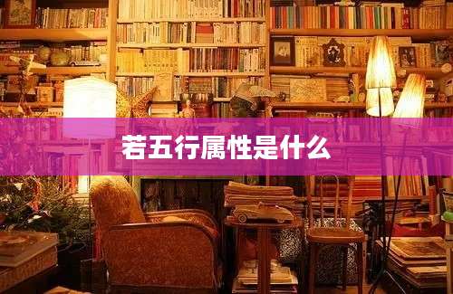 若五行属性是什么