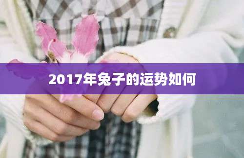 2017年兔子的运势如何