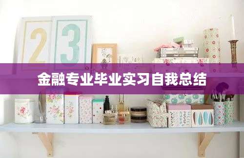 金融专业毕业实习自我总结