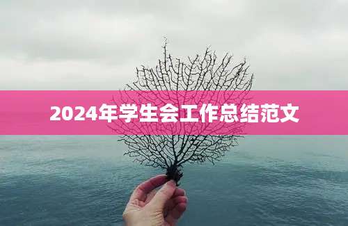 2024年学生会工作总结范文