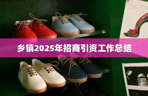 乡镇2025年招商引资工作总结