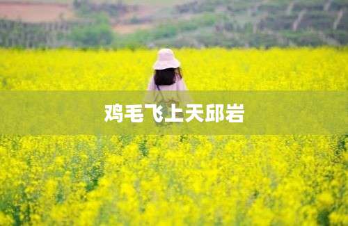 鸡毛飞上天邱岩