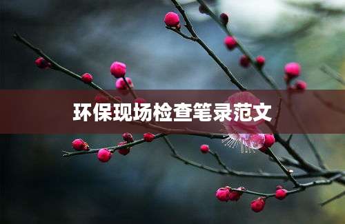 环保现场检查笔录范文
