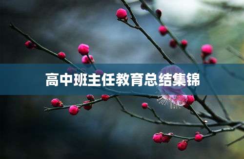 高中班主任教育总结集锦
