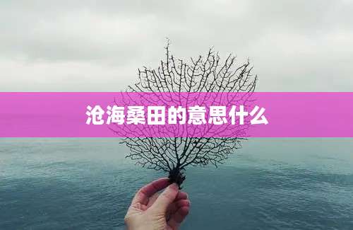 沧海桑田的意思什么