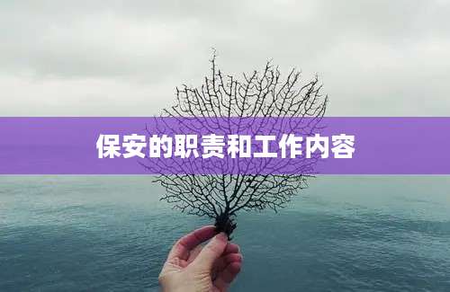 保安的职责和工作内容