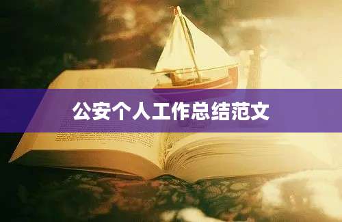 公安个人工作总结范文