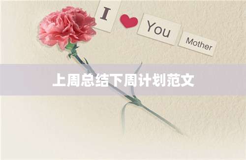 上周总结下周计划范文