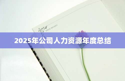 2025年公司人力资源年度总结