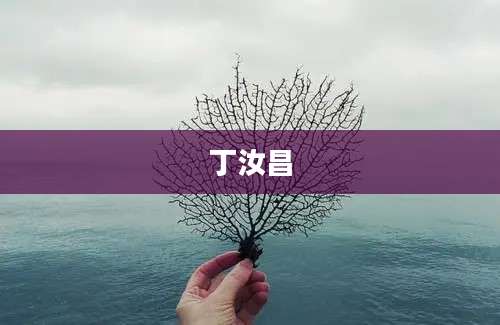 丁汝昌