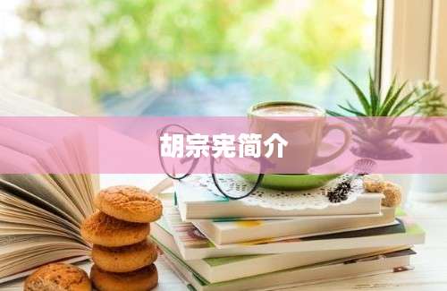 胡宗宪简介