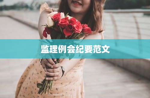 监理例会纪要范文
