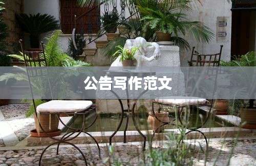 公告写作范文