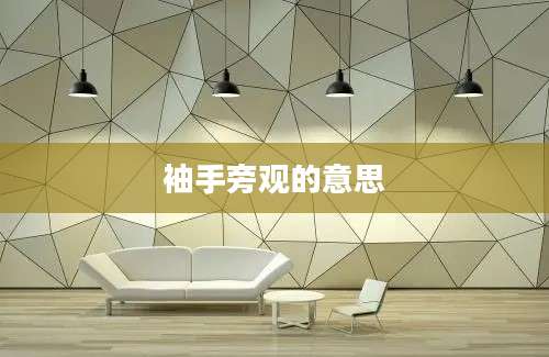 袖手旁观的意思