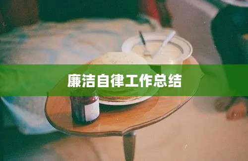 廉洁自律工作总结