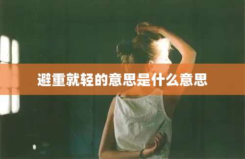避重就轻的意思是什么意思
