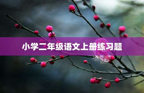 小学二年级语文上册练习题
