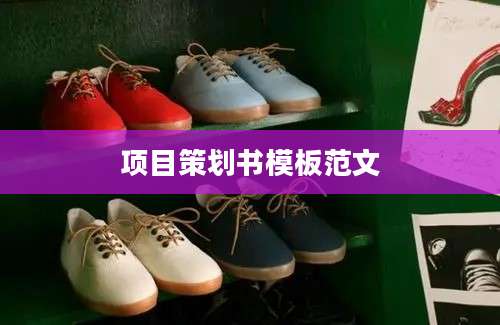 项目策划书模板范文