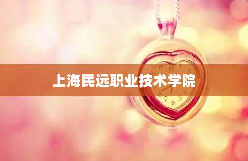 上海民远职业技术学院