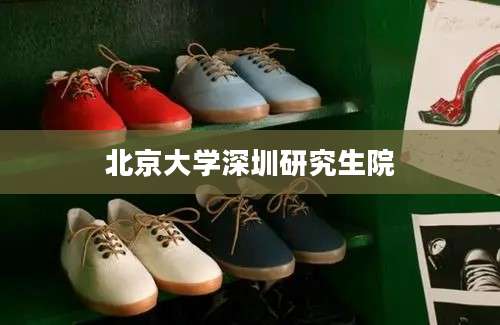 北京大学深圳研究生院