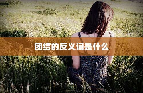 团结的反义词是什么