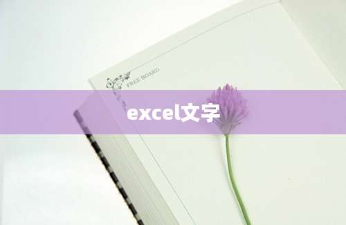 excel文字
