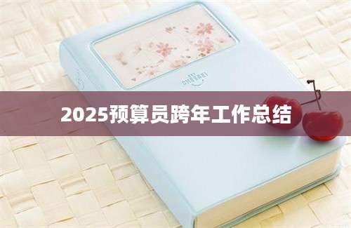 2025预算员跨年工作总结