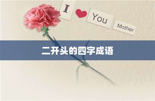 二开头的四字成语