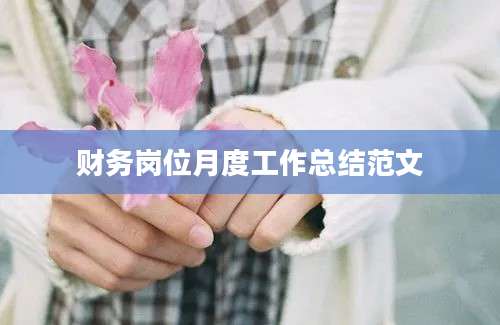 财务岗位月度工作总结范文