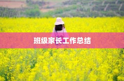班级家长工作总结