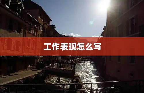 工作表现怎么写