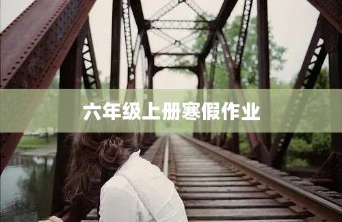 六年级上册寒假作业